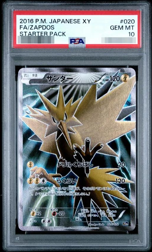 Zapdos (SR仕様)