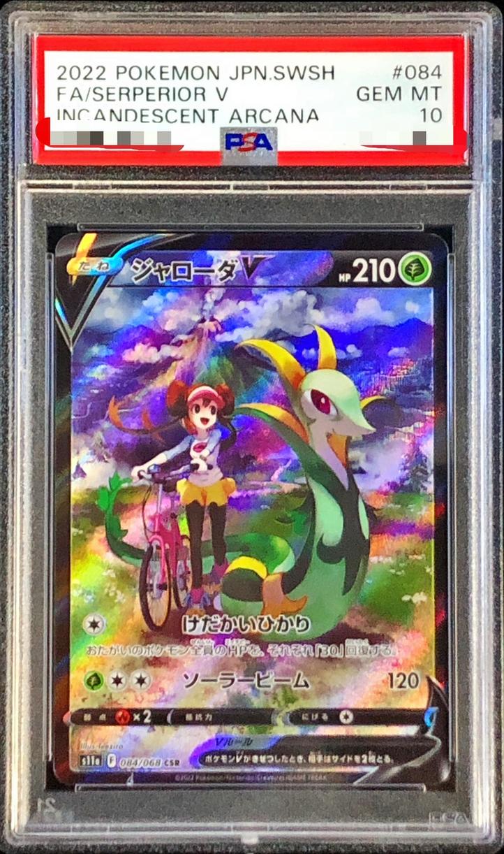 〔PSA10鑑定済〕ジャローダV