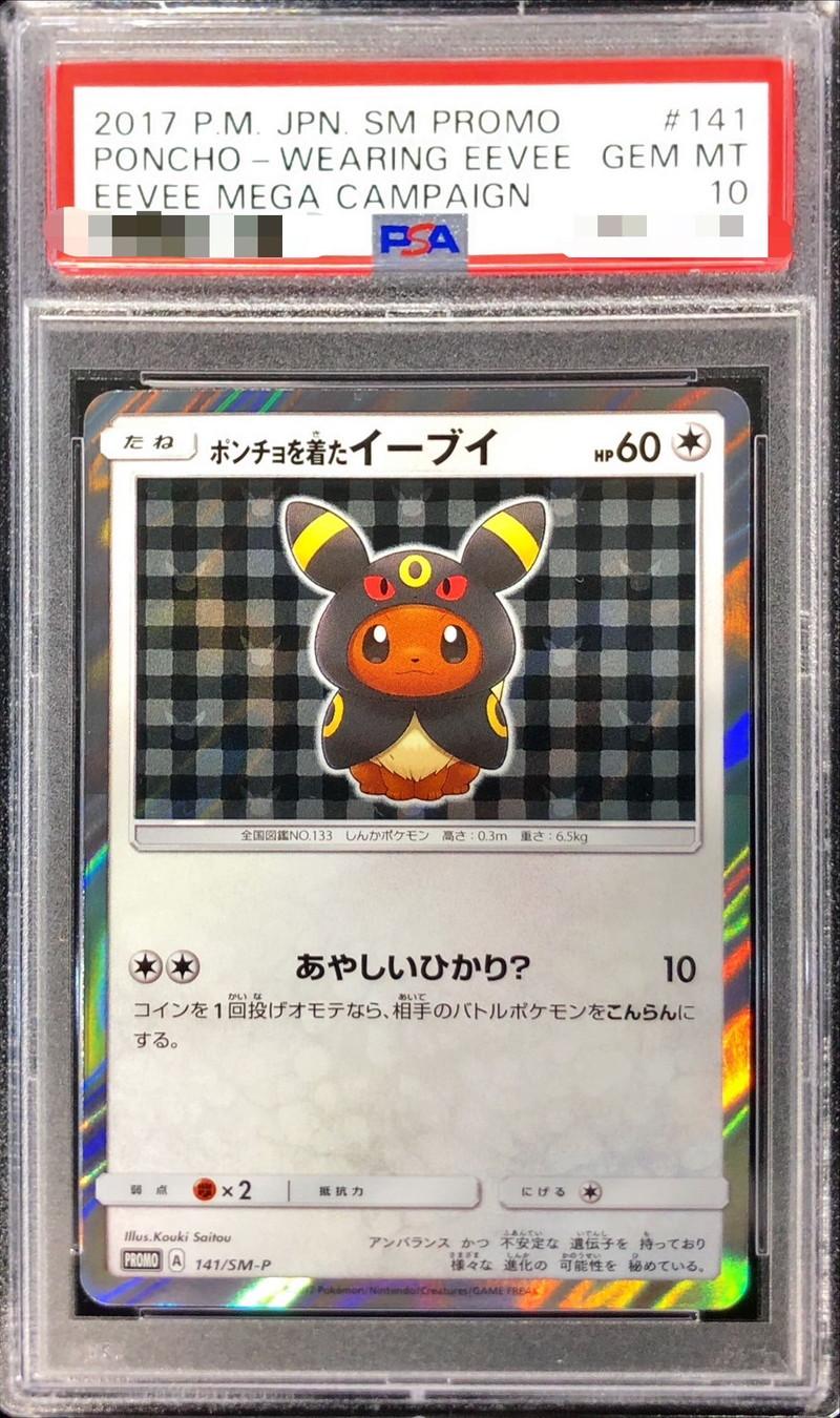 Eevee Wearing a Poncho (BK)