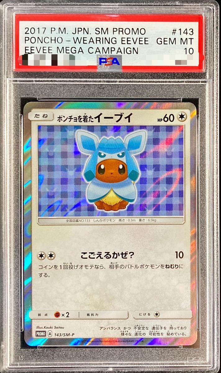 Eevee in a Poncho (GC)