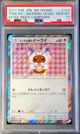 Eevee Poncho (NP)