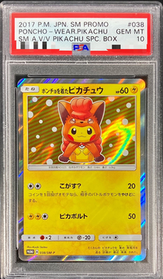 Pikachu Wearing a Poncho
