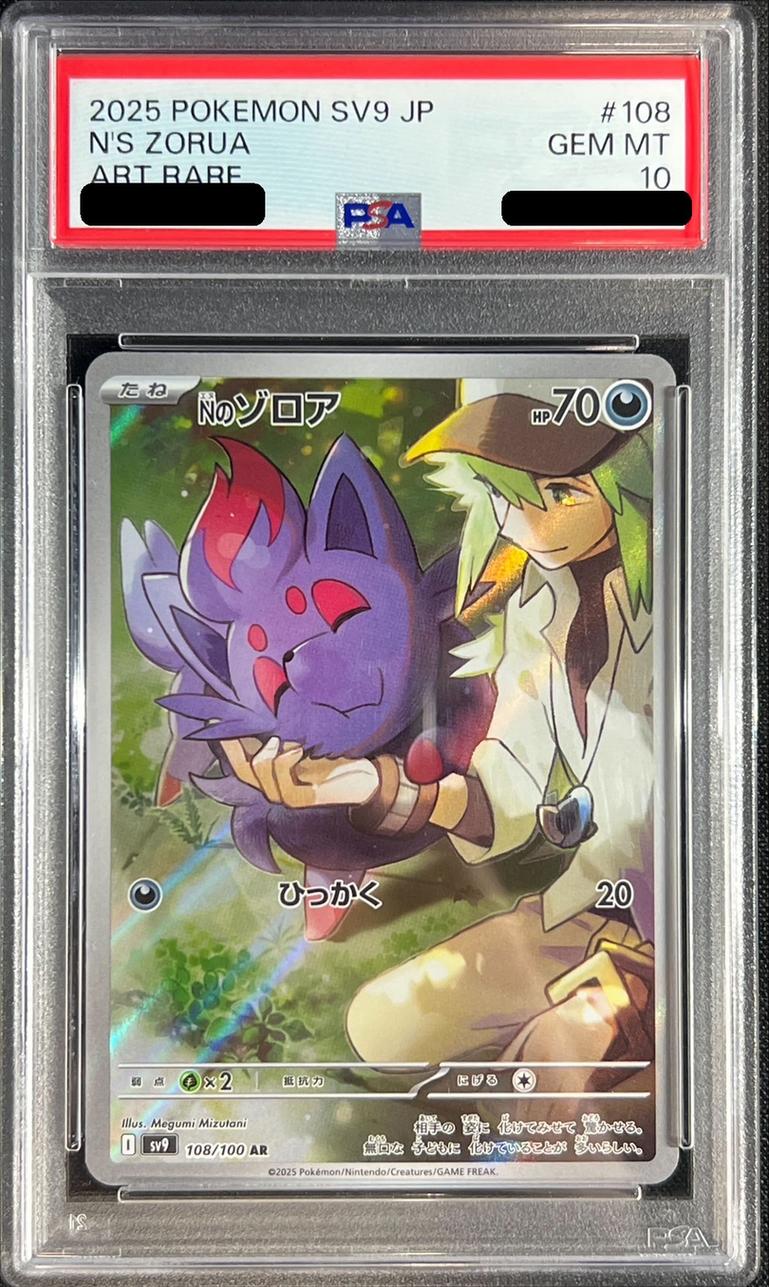 N's Zorua