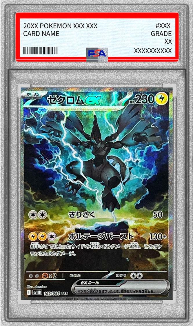 Zekrom ex