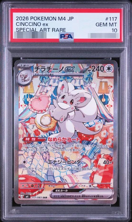 Cinccino ex SAR