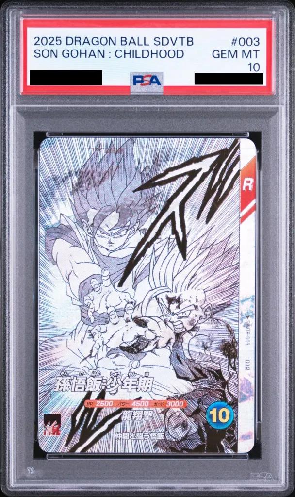 Son Gohan: Boyhood GDR