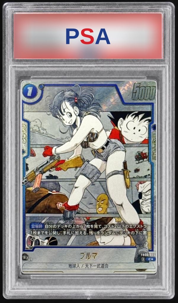 Bulma (Parallel Art) {FB06-035[SB01]}