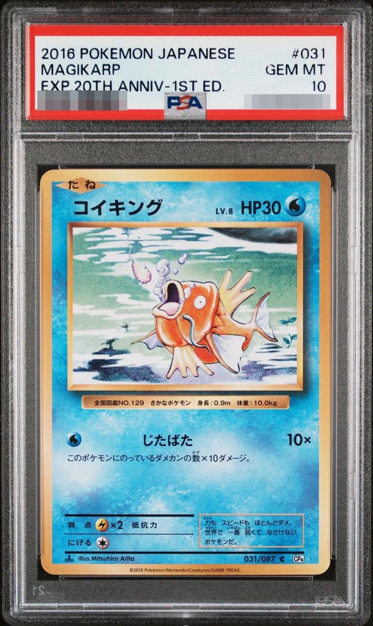 Magikarp【C】