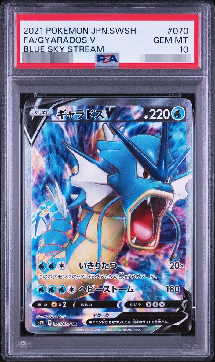 Gyarados V