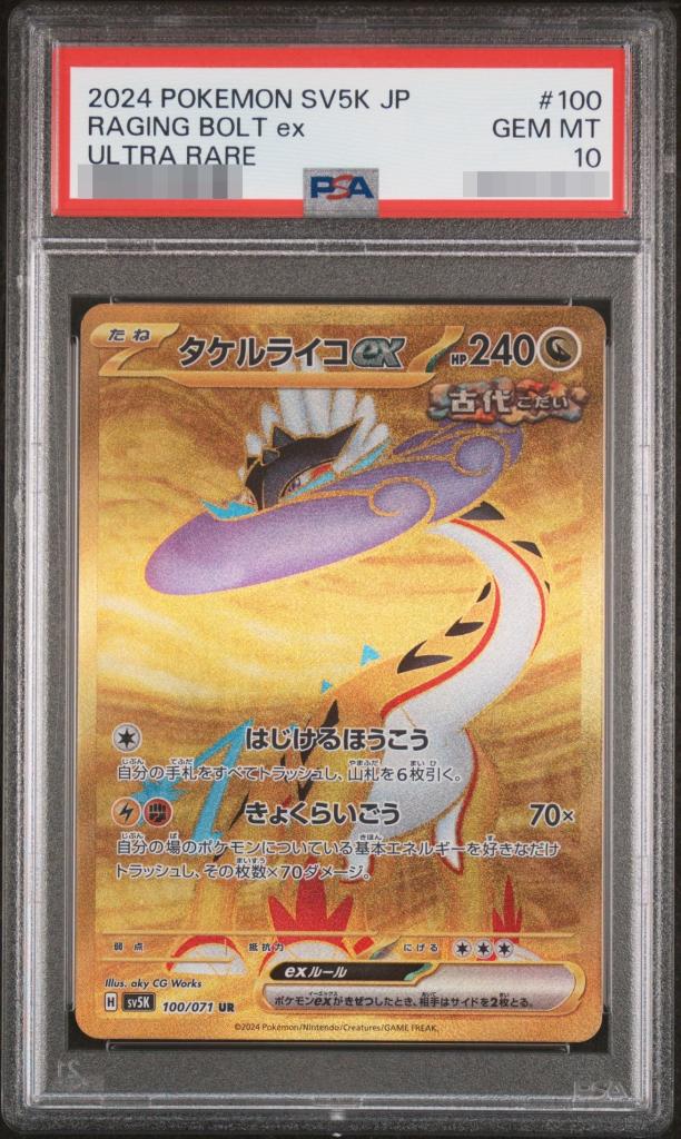 〔PSA10鑑定済〕タケルライコ