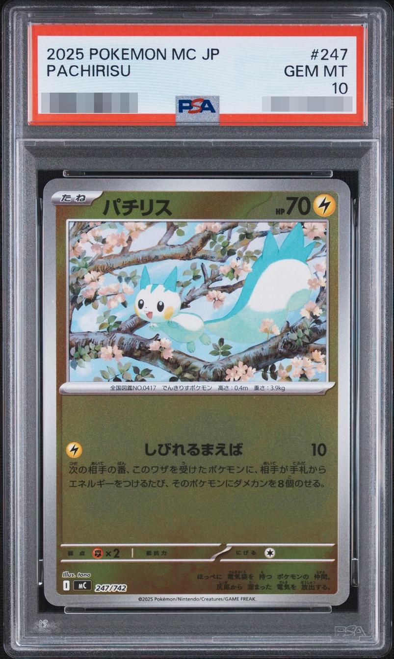 Pachirisu