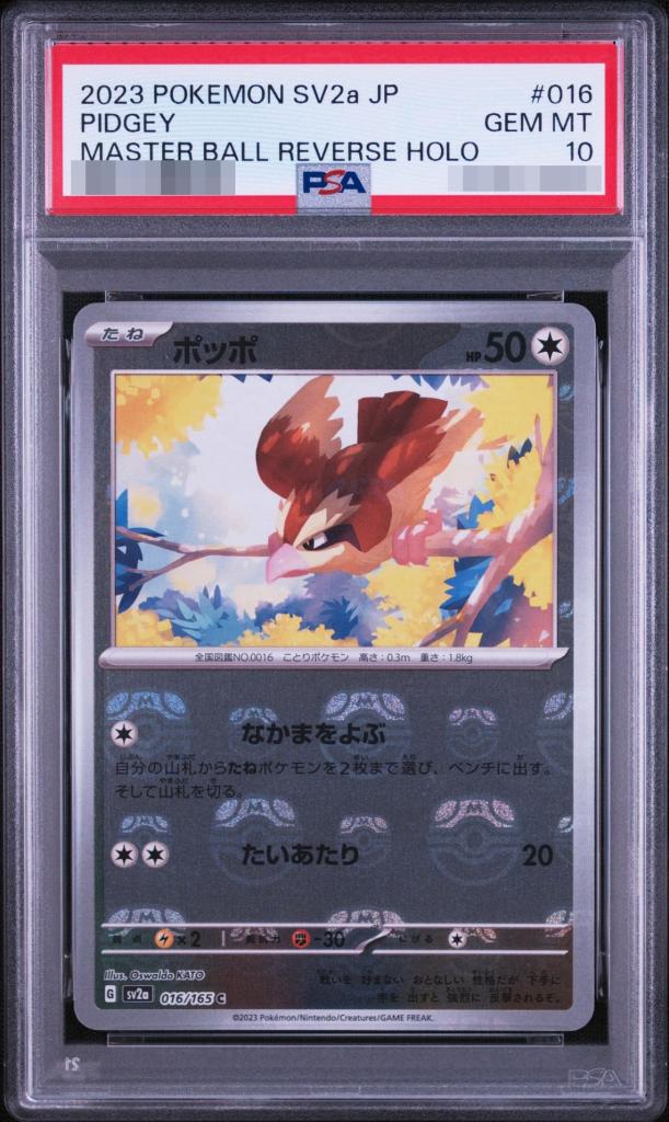 Pidgey C: Master Ball Mirror