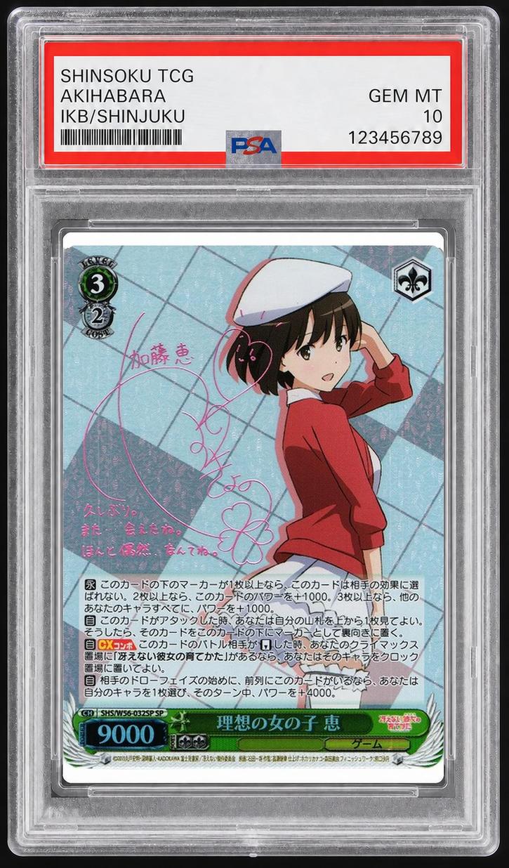 Ideal Girl Megumi