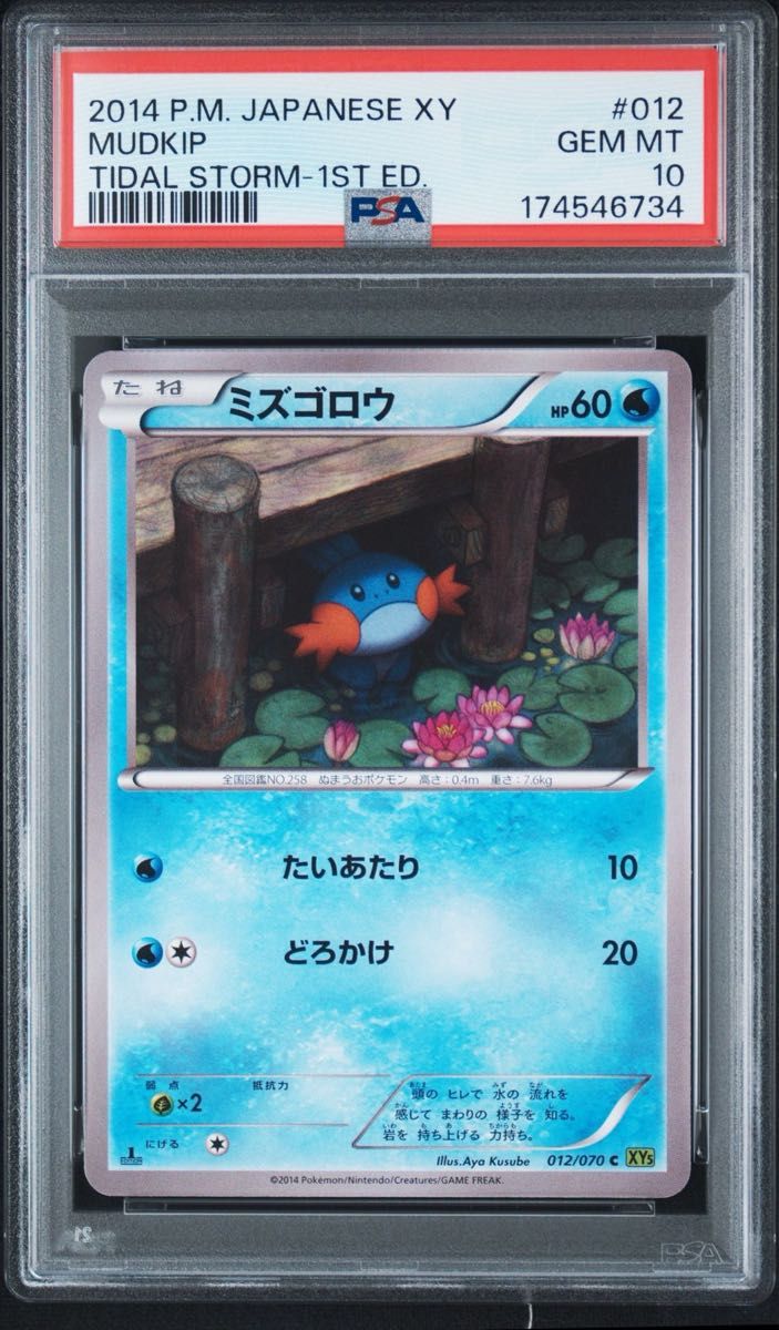 PSA 10 · Mudkip