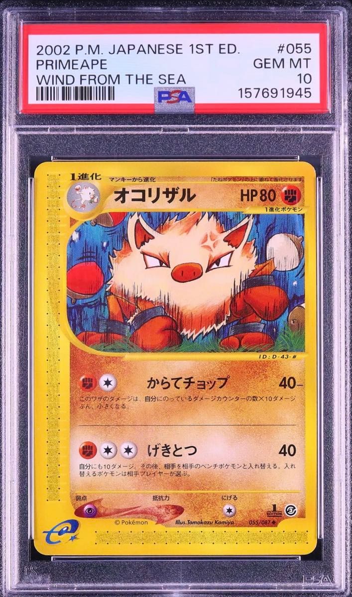〔PSA10鑑定済〕オコリザル