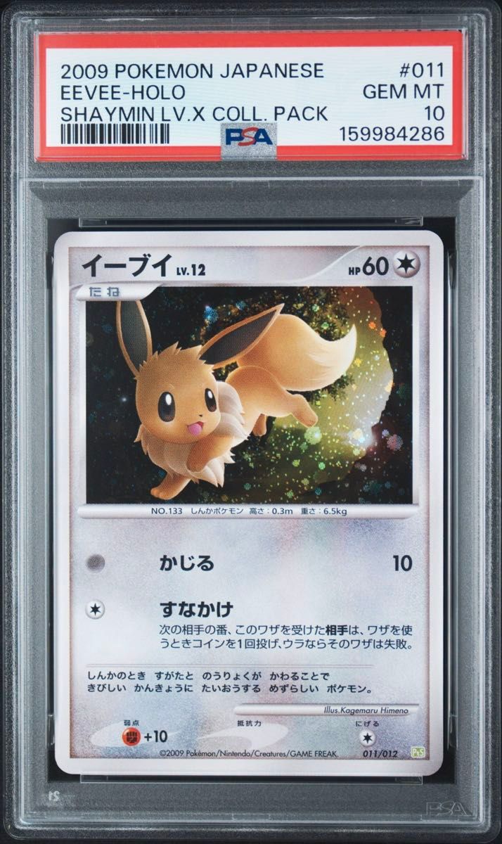 〔PSA10鑑定済〕イーブイ