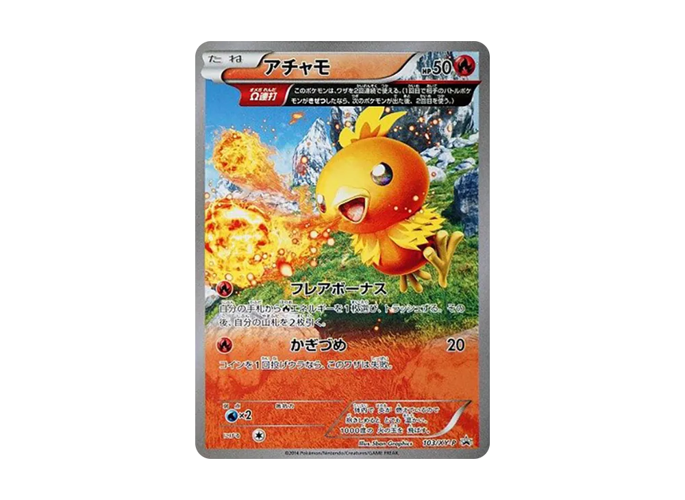 Torchic P